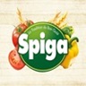 Spiga